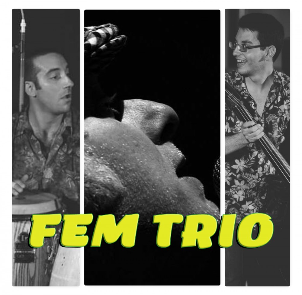 FEM Trio